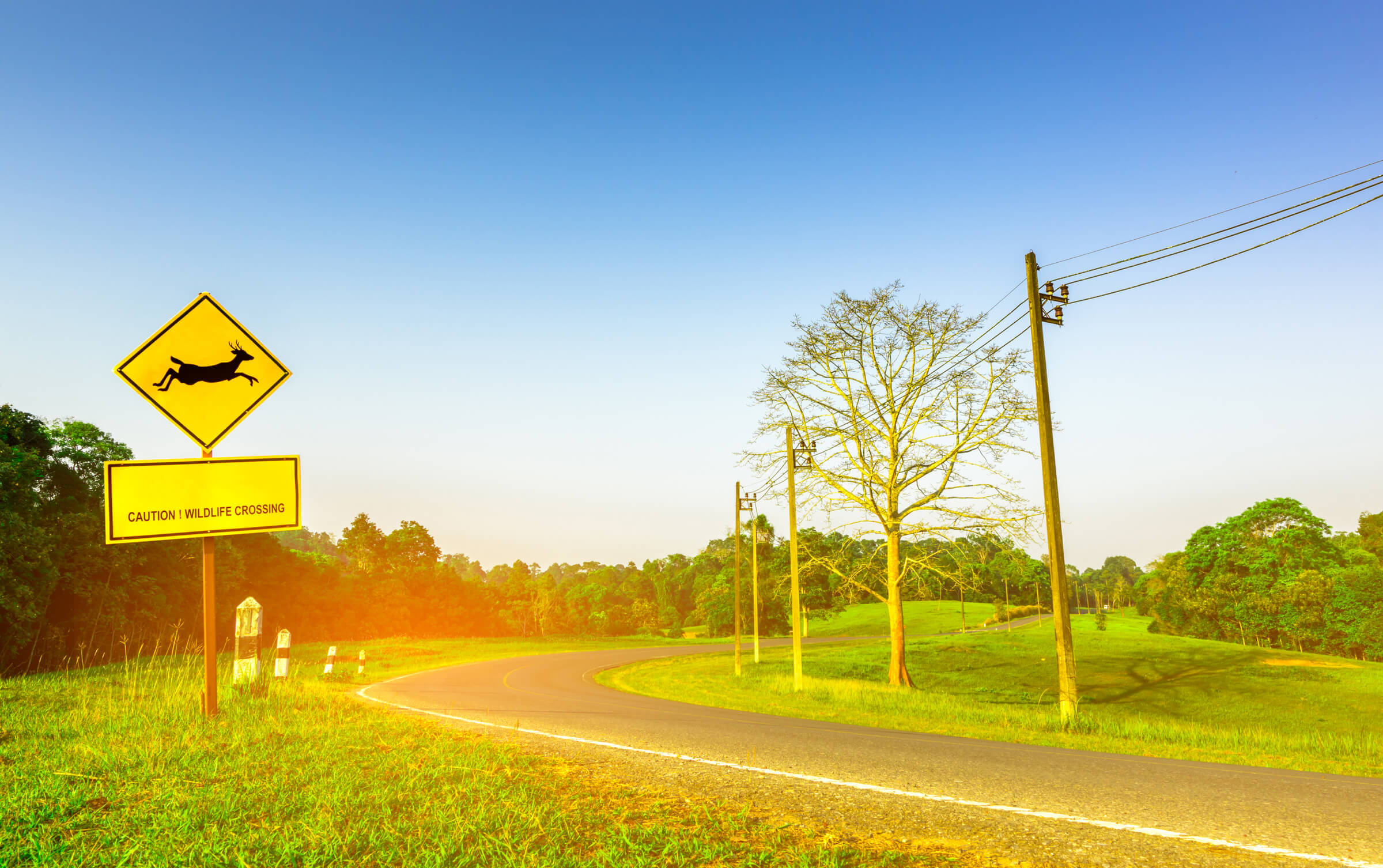 Why Rural Drivers Sometimes Pay More Than City Drivers